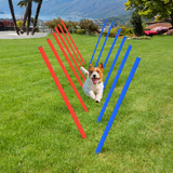 Dog Agility Set with Hoop, Poles, Tunnel & Carrying Bag – Pet Training Play Kit, Obedience Equipment