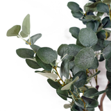 Leaf 150cm Premium Artificial Eucalyptus Tree in Pot – Realistic Wired Stems, Low-Maintenance Indoor Greenery
