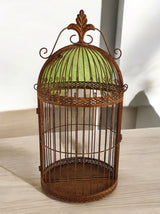Durable Rustic Metal Bird Cage Wall Mirror 63cm Fleur De Lys Design Vintage-Style Garden Indoor