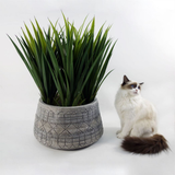 Leaf Gliese Large Embossed Planter, 22cm x 37cm – Stylish Home Plant Pot, Grey