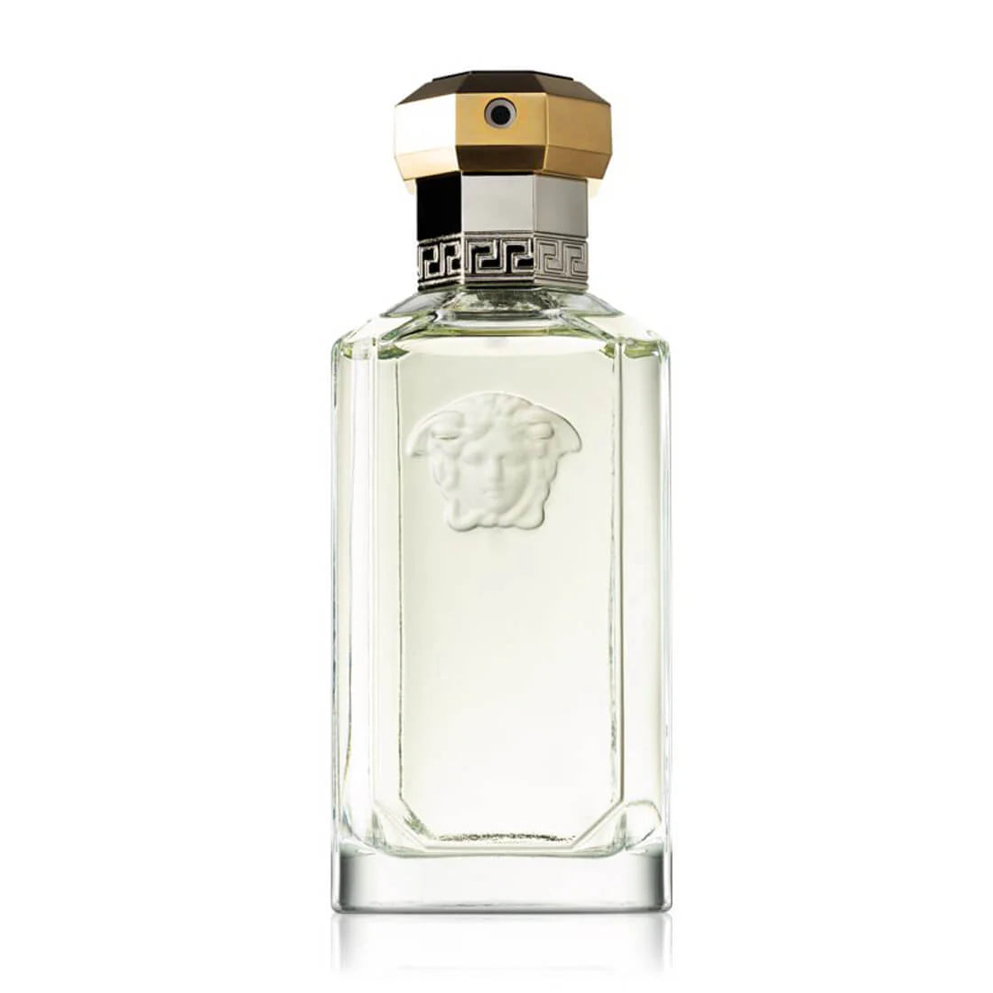 Versace the Dreamer Eau de Toilette Spray 100ml – Floral, Aromatic Fragrance for Men