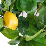 Premium Artificial Lemon Tree, 150cm with Realistic Foliage and Weighted Pot – Faux Plant for Home Display
