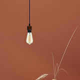 LEDSONE Industrial Rustic Red Pendant Light Fitting with E27 Holder & 95cm Cable – Dimmable Retro Light Kit