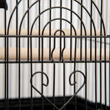 PawHut Metal Bird Cage with Plastic Perch, Food Container and Carry Handle, 50.5 x 40 x 63cm – Black