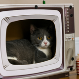 PawHut TV-Shaped Cardboard Cat House with Scratcher, Catnip and Toy Rat – 2-in-1 Cat Scratching Board