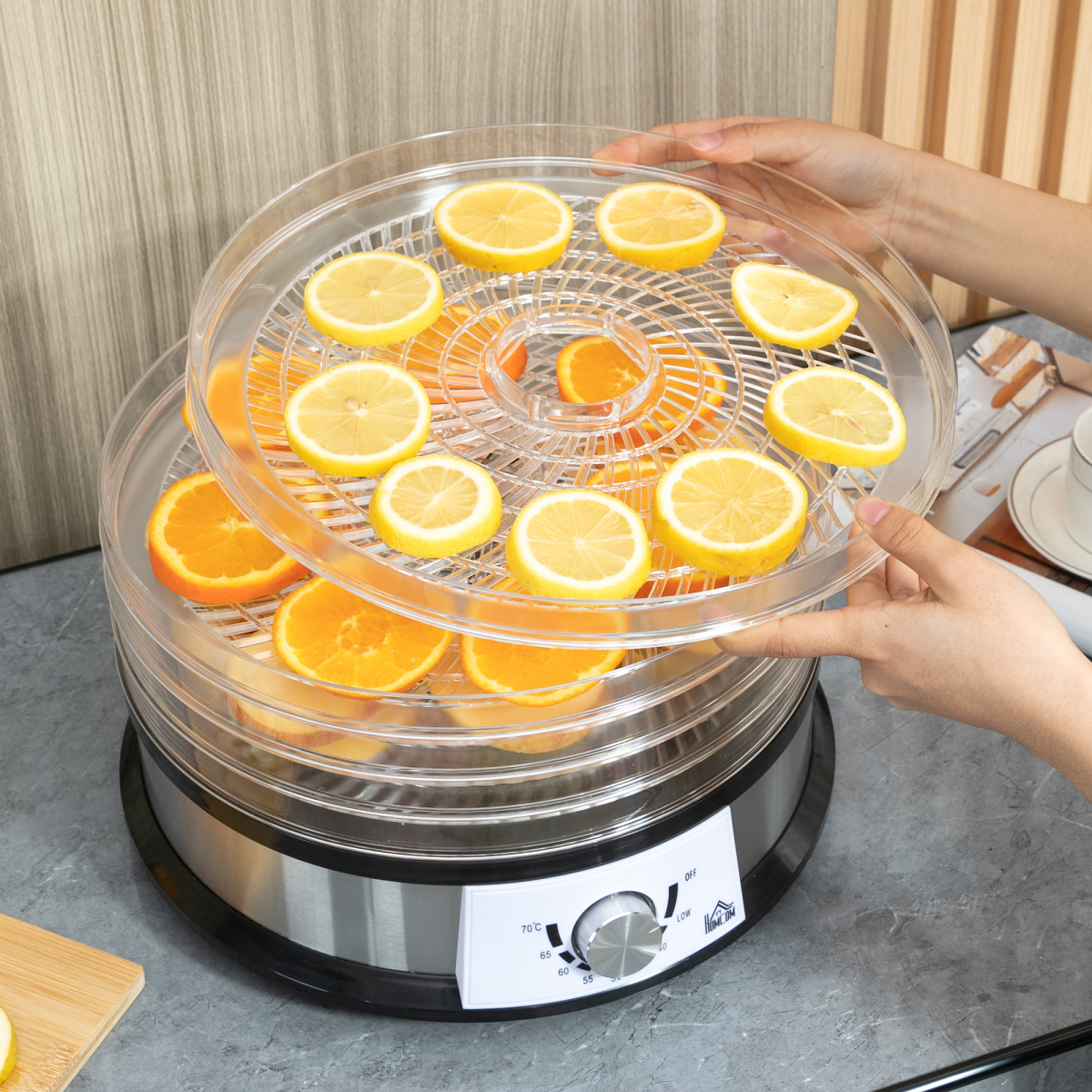 HOMCOM 5-Tier Food Dehydrator with 250W Motor, Adjustable Temperature and Stainless Steel Trays – Silver