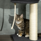 PawHut Floor-to-Ceiling Cat Tree, 240–270 cm Height Adjustable with Bed, Hammock and Sisal Posts, Black