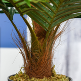 Outsunny 60cm Artificial Palm Tree with 8 Bendable Leaves and Pot – Low-Maintenance Fake Tropical Plant