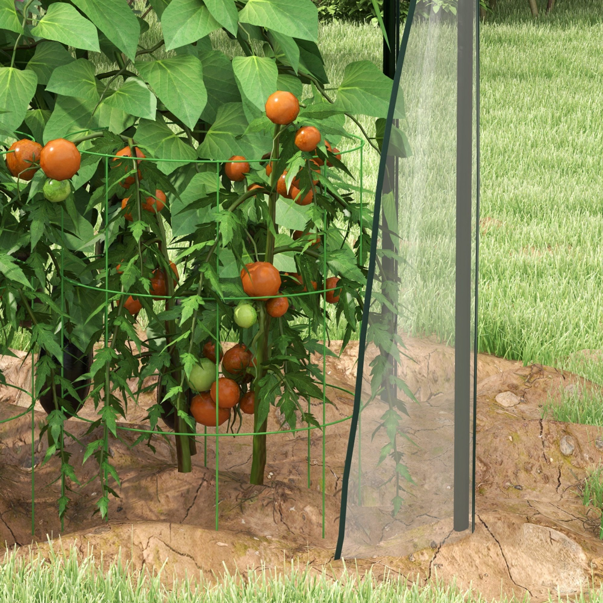 Outsunny Tomato Greenhouse with 2 Zipped Doors & UV-Resistant Clear Plastic Cover – Compact Grow House