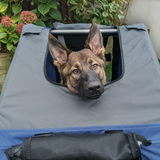 Pet Bicycle Trailer with Hitch Coupler & Mesh Windows – Water-Resistant Dog Bike Carrier, Blue