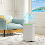 HOMCOM 20L/Day Dehumidifier with 24H Timer – Reduce Damp & Condensation in Larger Rooms, White