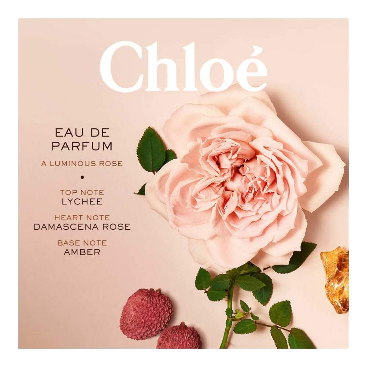 Chloe Signature Eau de Parfum Spray 75ml – Floral, Fresh & Citrus Fragrance for Women