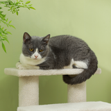 Pawhut Pet Ramp Stairs with 4 Steps and Faux Fur Cover – Cat and Dog Climbing Steps, Brown