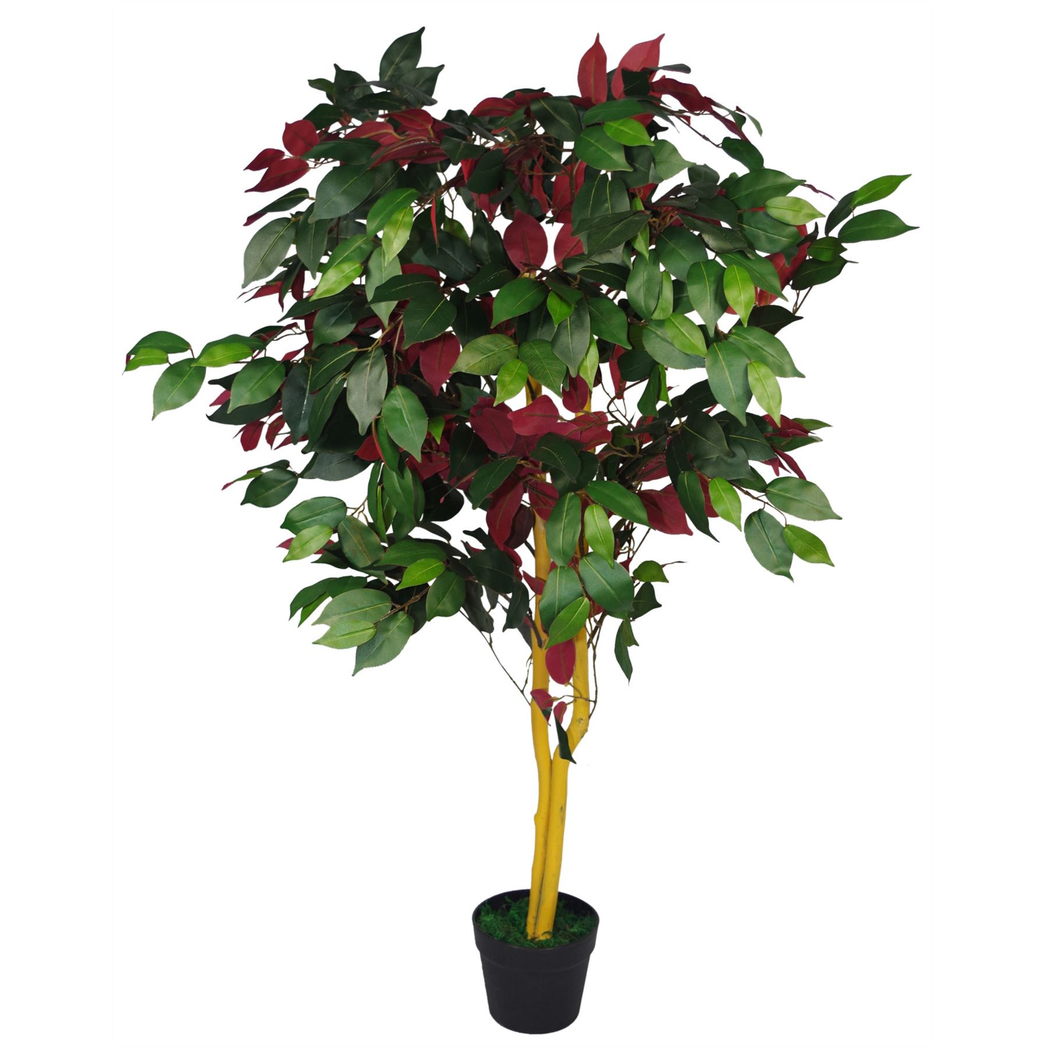 120cm (4ft) Artificial Capensia Tree Ficus Plant – Extra Large