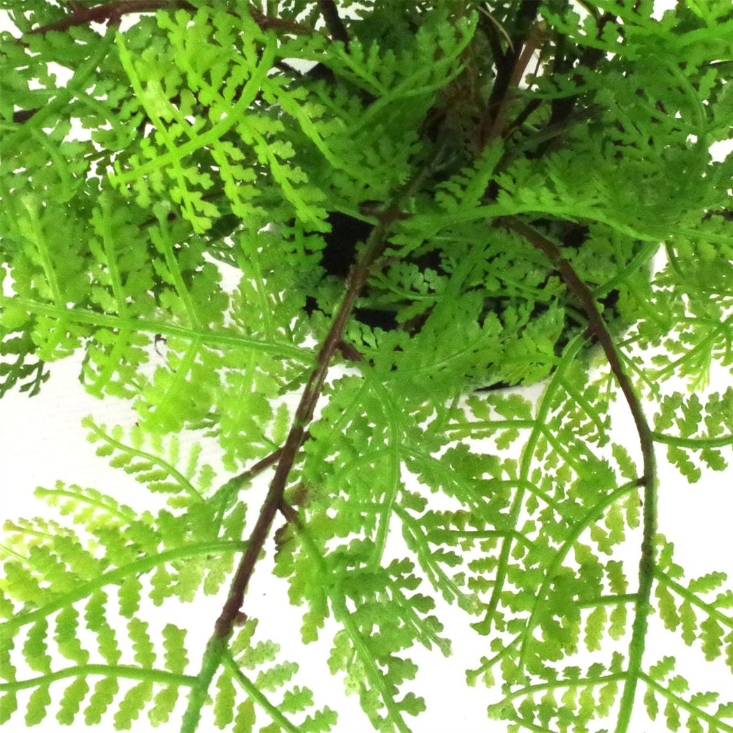 Artificial Potted Lady Fern (Athyrium Filix-Femina), 30cm – Faux Fern in White Pot with Black Soil Effect