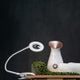 Native Lighting Clip-On Magnifier Lamp, 1.3X, Daylight LED – Dimmable, Rechargeable Gooseneck