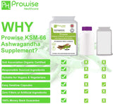 Prowise KSM-66 Ashwagandha 500mg with Organic Black Pepper – Full-Spectrum Root Extract, 90 Capsules