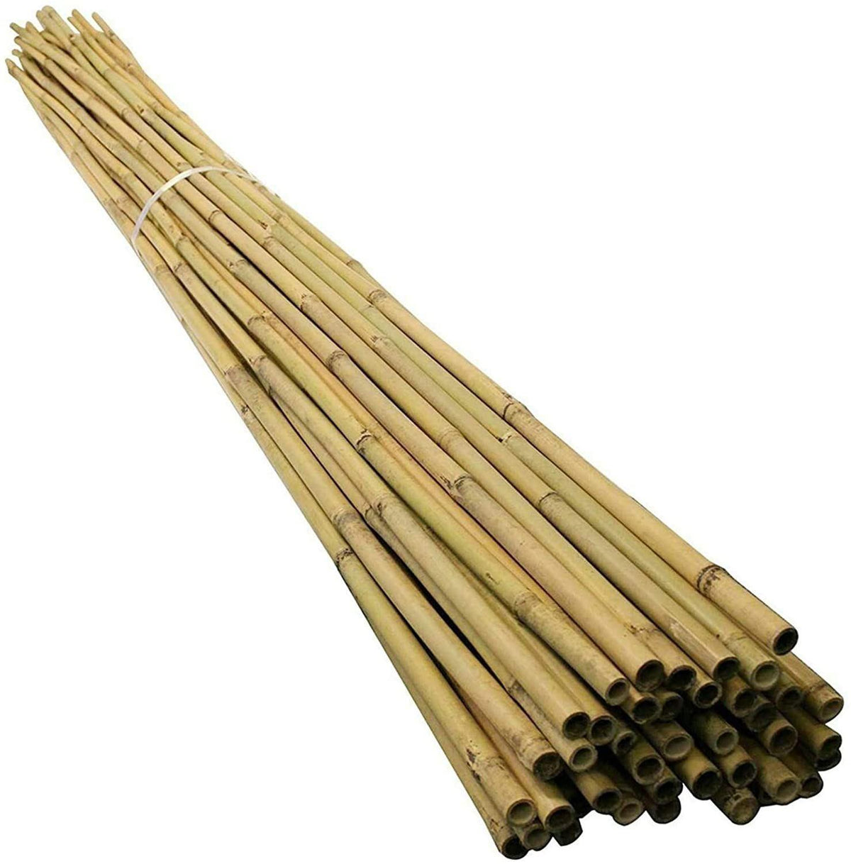 20 pack 6ft bamboo garden canes