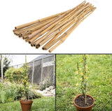 Natural Bamboo Garden Canes, 20 x 6ft (180cm) – Sturdy Plant Supports for Climbers, Beans and Tomatoes
