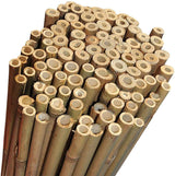 Natural Bamboo Garden Canes, 20 x 6ft (180cm) – Sturdy Plant Supports for Climbers, Beans and Tomatoes