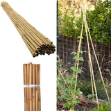Natural Bamboo Garden Canes, 20 x 6ft (180cm) – Sturdy Plant Supports for Climbers, Beans and Tomatoes