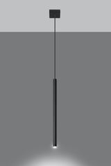 Pastelo Black Tube Pendant Spotlight, G9