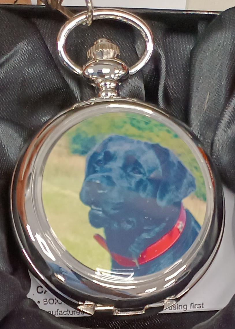 Boxx Picture Pocket Watch with Dog Design – Classic Pocket Watch, Model P5061.89