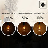 Ledsone 2 Pack E27 G95 Vintage LED Edison Bulbs, 4W Dimmable Warm White 2700K – Amber Glass Filament Globe