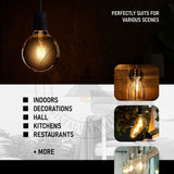 Ledsone 2 Pack E27 Dimmable LED Edison Filament Bulbs, 8W 800lm 2700K – Vintage Amber Glass G95, Warm White