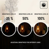 Ledsone 6 Pack E27 Dimmable LED Edison Bulbs, ST64 Amber Glass – 6W Warm White 2700K Vintage Filament