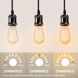 2m Black Twisted Cable Pendant Light Kit with E27 Shiny Black Holder – Vintage Single Drop Lamp Holder