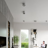 Sollux Basic Ceiling Lamp with 2 GU10 Lights, Concrete – Industrial Design Spotlight, Grey