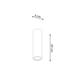 Lagos Modern Steel Ceiling Light, GU10
