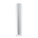 Lagos Modern Steel Ceiling Light, GU10