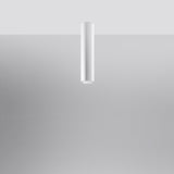 Lagos Modern Steel Ceiling Light, GU10