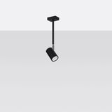 Sollux Norano Ceiling Lamp with Black Steel Finish, GU10 Fitting – Modern Ceiling Light