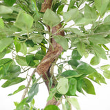 Leaf 150cm Artificial Twisted Trunk Ficus Tree – Japanese Fruticosa Style, Low-Maintenance Greenery
