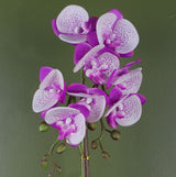 Leaf 50cm Artificial Phalaenopsis Orchid with Real Touch Flowers – Purple and White, Gold Pot
