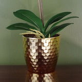 Leaf 50cm Artificial Phalaenopsis Orchid with Real Touch Flowers – Purple and White, Gold Pot