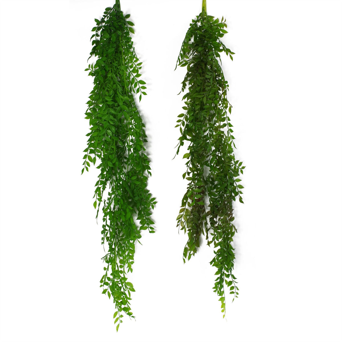 Leaf 100cm Hanging Artificial String of Pearls Plant – Unpotted Trailing Faux Foliage, Light Green