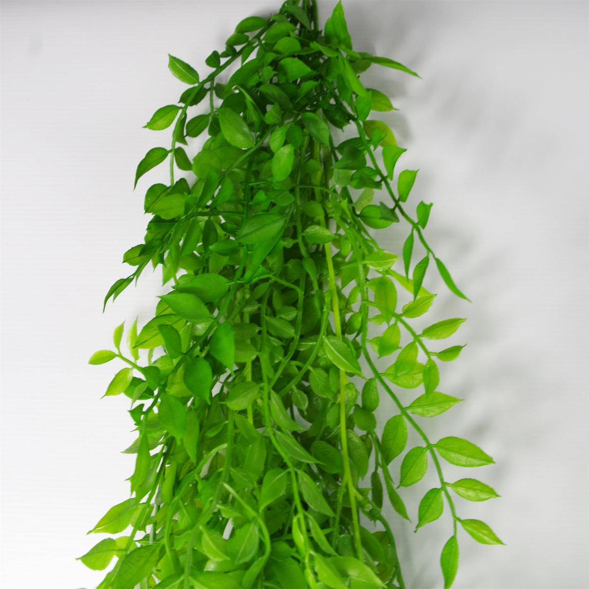 Leaf 100cm Hanging Artificial String of Pearls Plant – Unpotted Trailing Faux Foliage, Light Green