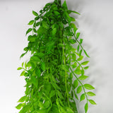 Leaf 100cm Hanging Artificial String of Pearls Plant – Unpotted Trailing Faux Foliage, Light Green