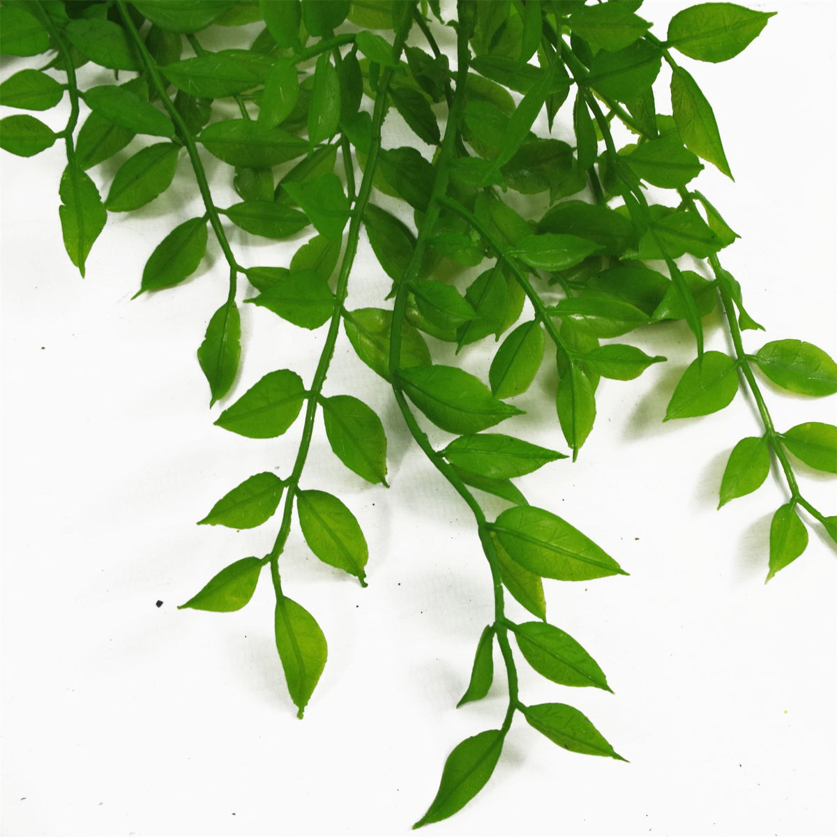 Leaf 100cm Hanging Artificial String of Pearls Plant – Unpotted Trailing Faux Foliage, Light Green