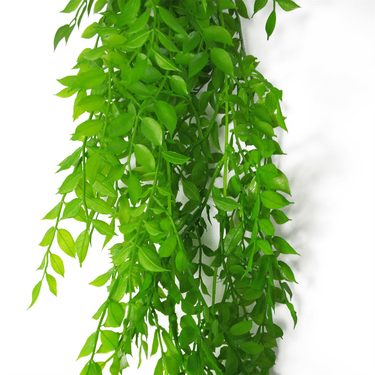 Leaf 100cm Hanging Artificial String of Pearls Plant – Unpotted Trailing Faux Foliage, Light Green