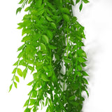 Leaf 100cm Hanging Artificial String of Pearls Plant – Unpotted Trailing Faux Foliage, Light Green