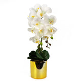Leaf 52cm Large Artificial Orchid with 14 Real Touch Flowers – White, Gold Decorative Pot