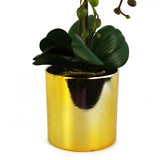 Leaf 52cm Large Artificial Orchid with 14 Real Touch Flowers – White, Gold Decorative Pot