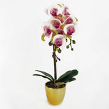 Leaf 48cm Artificial Harlequin Orchid with Real Touch Flowers – Pink, Gold Decorative Pot