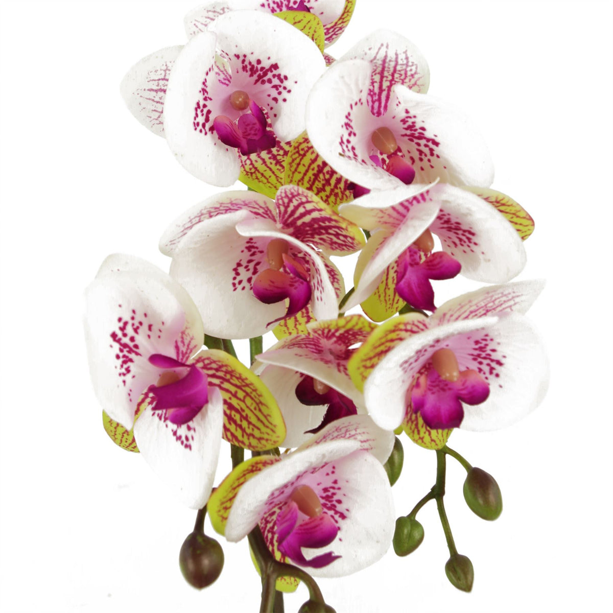 Leaf 48cm Artificial Harlequin Orchid with Real Touch Flowers – Pink, Gold Decorative Pot