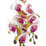 Leaf 48cm Artificial Harlequin Orchid with Real Touch Flowers – Pink, Gold Decorative Pot